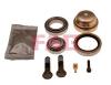FAG 713667470 Wheel Bearing Kit