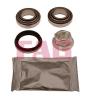 FAG 713619250 Wheel Bearing Kit
