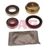 FAG 713667820 Wheel Bearing Kit