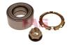 FAG 713630900 Wheel Bearing Kit