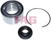 FAG 713626290 Wheel Bearing Kit