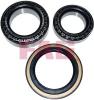 FAG 713626480 Wheel Bearing Kit