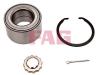 FAG 713618770 Wheel Bearing Kit