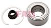 FAG 713618790 Wheel Bearing Kit