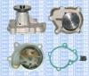 Saleri SIL PA890 Water Pump