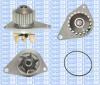 Saleri SIL PA1234 Water Pump