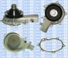 Saleri SIL PA411P Water Pump