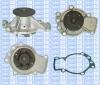 Saleri SIL PA685 Water Pump