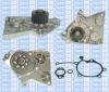 Saleri SIL PA774 Water Pump
