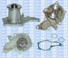 Saleri SIL PA799 Water Pump