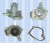 Saleri SIL PA1078 Water Pump