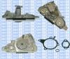 Saleri SIL PA1146 Water Pump