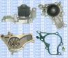 Saleri SIL PA993 Water Pump