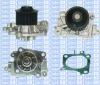 Saleri SIL PA1195 Water Pump