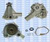 Saleri SIL PA257 Water Pump