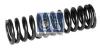 DT 1.10782 (110782) Valve Spring