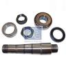 DT 2.95020 (295020) Repair Kit, kingpin