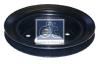 DT 4.61269 (461269) Pulley, water pump