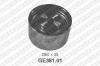SNR GE381.01 (GE38101) Deflection/Guide Pulley, timing belt