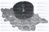 DOLZ M226 Water Pump