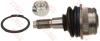 TRW JBJ232 Ball Joint