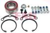 FAG 713667720 Wheel Bearing Kit