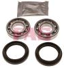 FAG 713622010 Wheel Bearing Kit