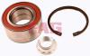 FAG 713649280 Wheel Bearing Kit