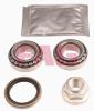 FAG 713619010 Wheel Bearing Kit