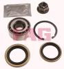 FAG 713660380 Wheel Bearing Kit
