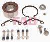 FAG 713667890 Wheel Bearing Kit