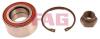 FAG 713678040 Wheel Bearing Kit