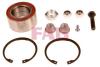 FAG 713610100 Wheel Bearing Kit