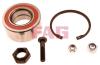 FAG 713610260 Wheel Bearing Kit