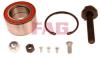 FAG 713610300 Wheel Bearing Kit