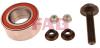FAG 713610350 Wheel Bearing Kit