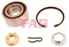 FAG 713640180 Wheel Bearing Kit