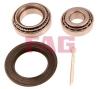 FAG 713644510 Wheel Bearing Kit