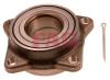 FAG 713619430 Wheel Bearing Kit