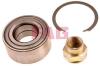 FAG 713690500 Wheel Bearing Kit