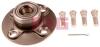 FAG 713613640 Wheel Bearing Kit