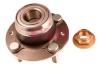 FAG 713626040 Wheel Bearing Kit