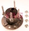 FAG 713644260 Wheel Bearing Kit