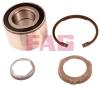 FAG 713649250 Wheel Bearing Kit
