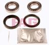 FAG 713613140 Wheel Bearing Kit