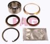 FAG 713618560 Wheel Bearing Kit