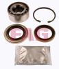 FAG 713619150 Wheel Bearing Kit