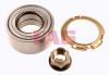 FAG 713644290 Wheel Bearing Kit