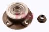 FAG 713665270 Wheel Bearing Kit