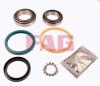 FAG 713667010 Wheel Bearing Kit